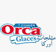 Orca glaces